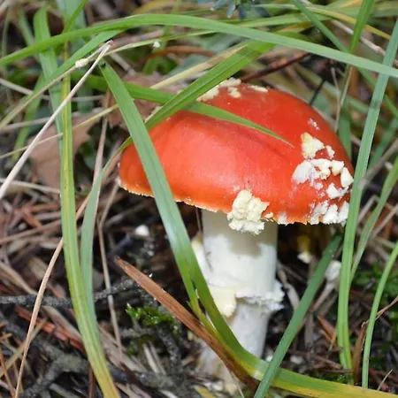 Casa vacanze Navasa Navasa